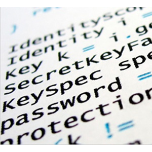 devweb