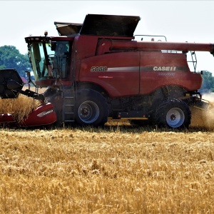 harvest-4364852_1920