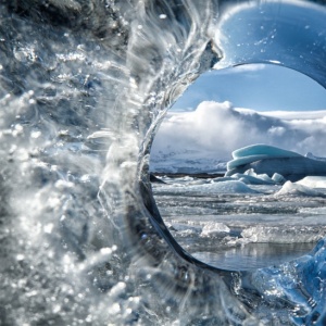 Circle of Life by Tim Vollmer