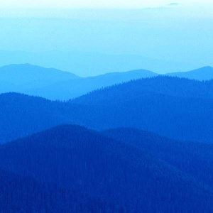 Collines