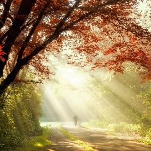 Shower of Light by Lars van de Goor