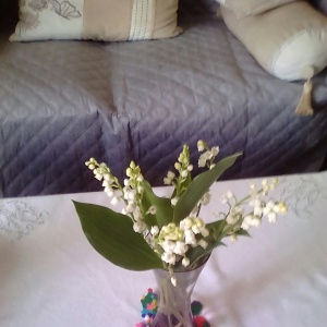 image0000001_71