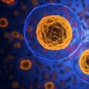 cells-1872666_1920