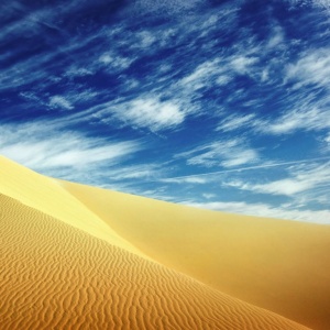 01 David Lazar Dune