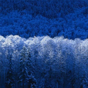 Hiver