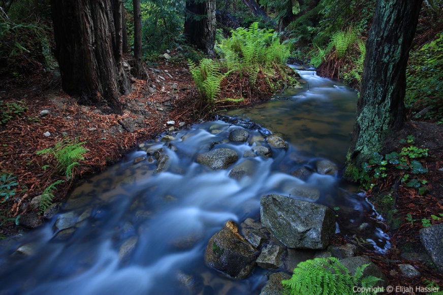 Soberanes Creek by Elijah Hassler